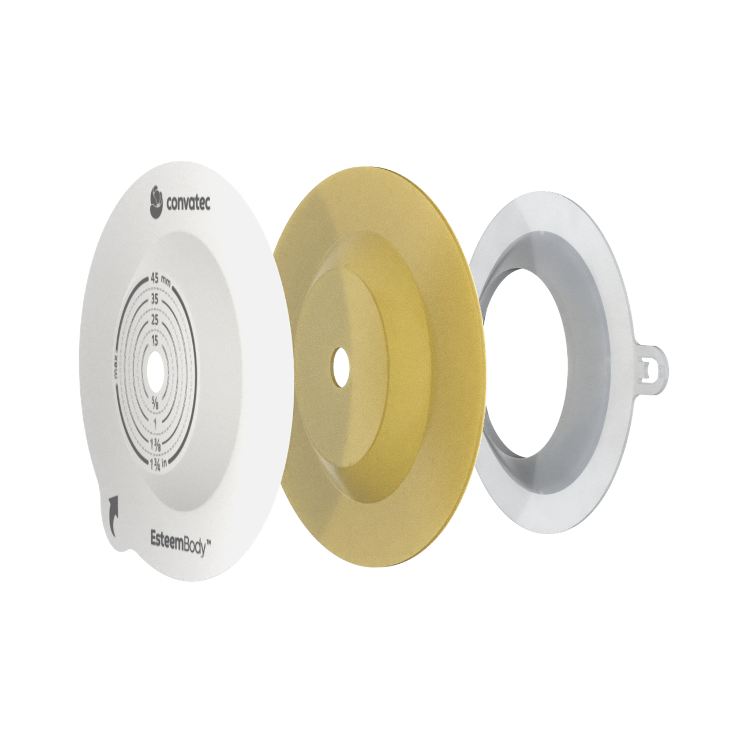 Convexity Adhesive Layers